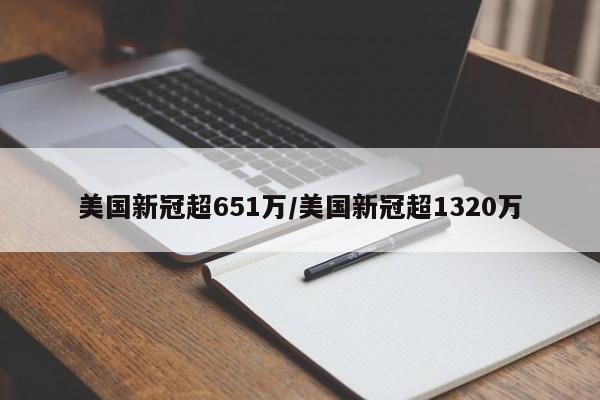 美国新冠超651万/美国新冠超1320万