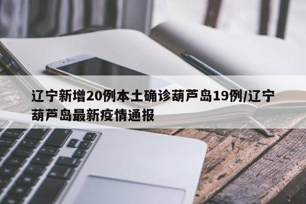 辽宁新增20例本土确诊葫芦岛19例/辽宁葫芦岛最新疫情通报