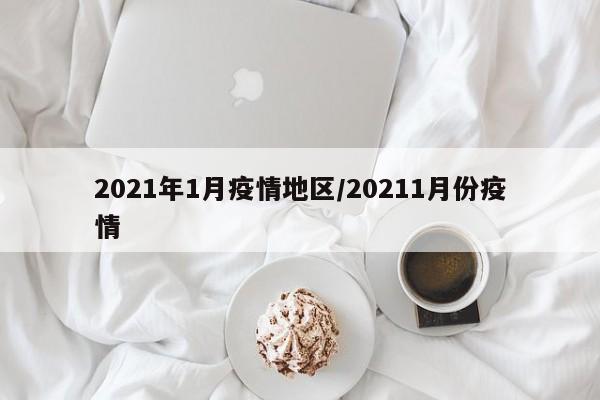 2021年1月疫情地区/20211月份疫情