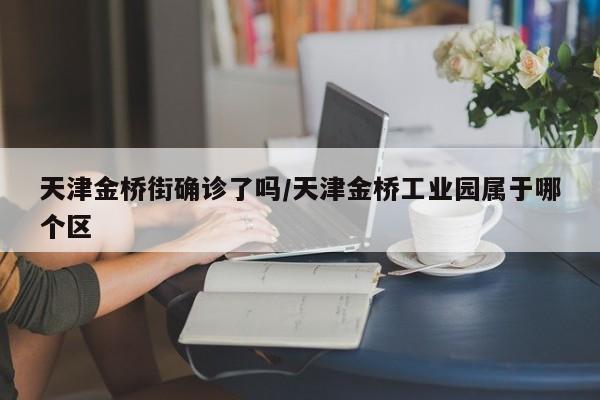 天津金桥街确诊了吗/天津金桥工业园属于哪个区