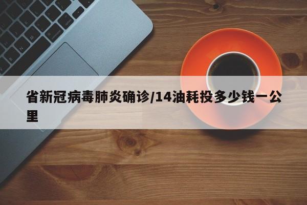 省新冠病毒肺炎确诊/14油耗投多少钱一公里