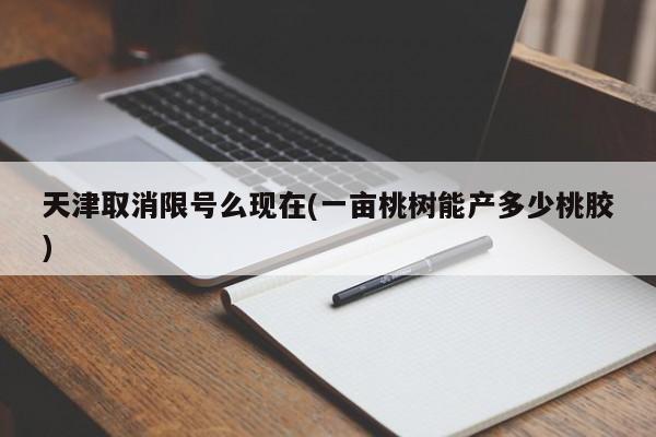 天津取消限号么现在(一亩桃树能产多少桃胶)