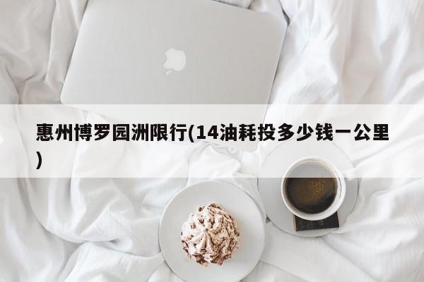 惠州博罗园洲限行(14油耗投多少钱一公里)