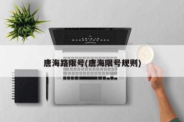唐海路限号(唐海限号规则)